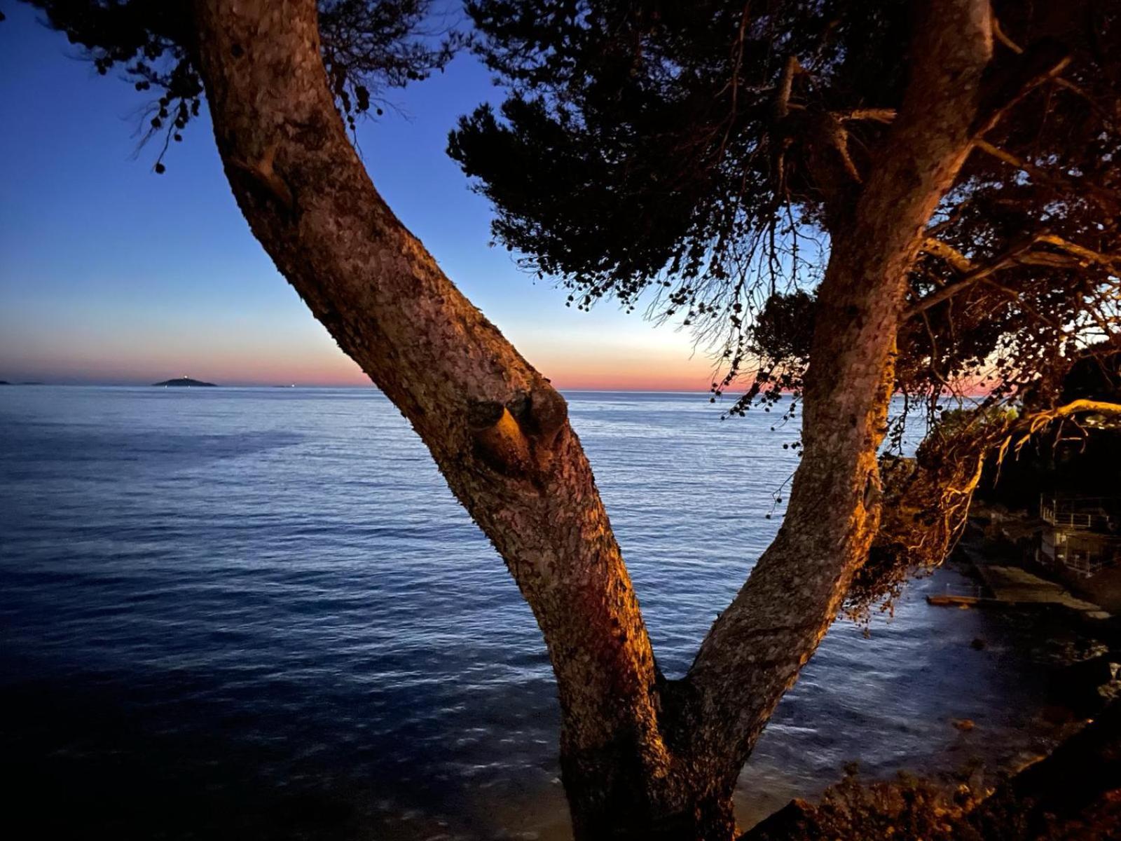 Vacances Bord De Mer - Appartement Sanary Sur Mer 外观 照片
